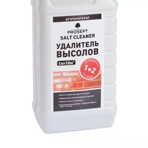 PROSEPT SALT CLEANER - удалитель высолов. Концентрат 1:2,  1л