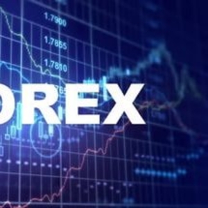 ForexChief – основные функции и особенности площадки